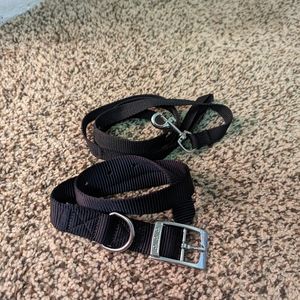 Collar Leash Dog Black Silver